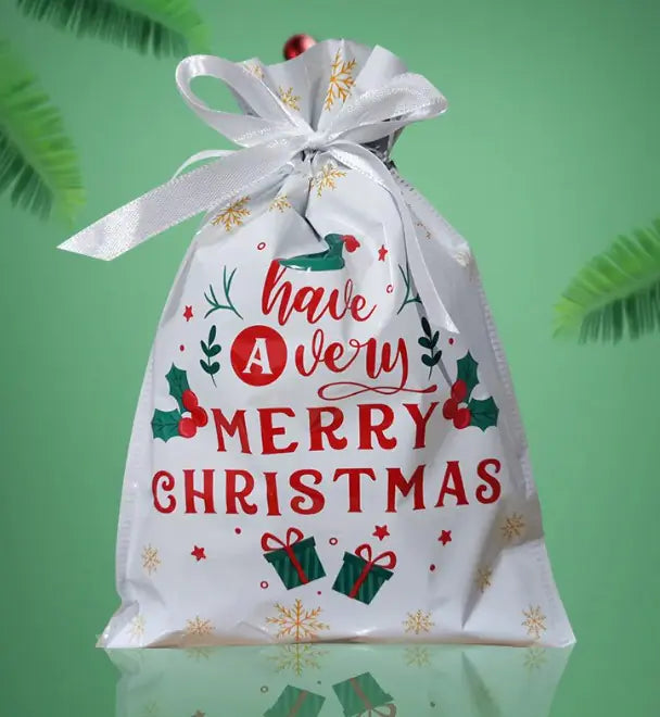 Christmas Gift Bag