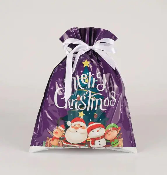 Christmas Gift Bag