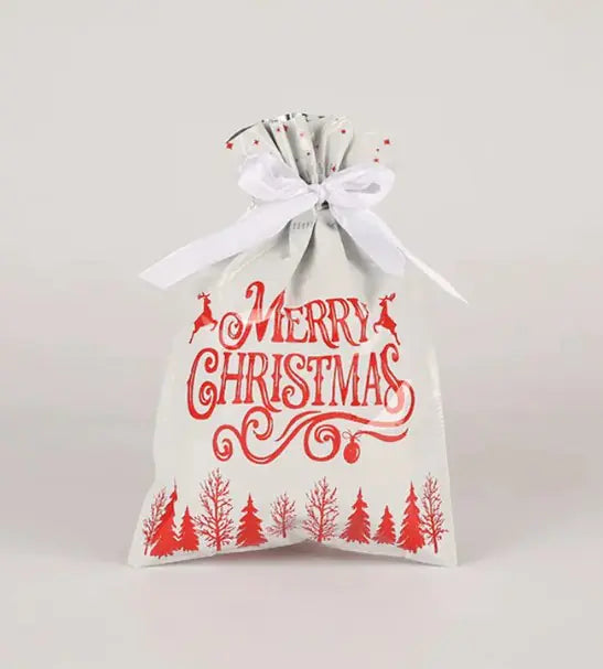 Christmas Gift Bag