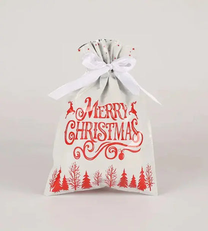 Christmas Gift Bag