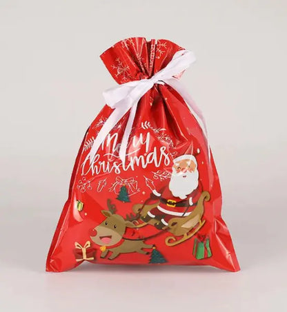 Christmas Gift Bag