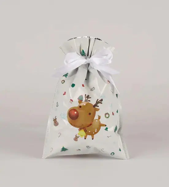 Christmas Gift Bag