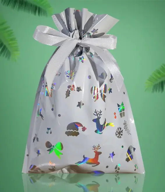 Christmas Gift Bag